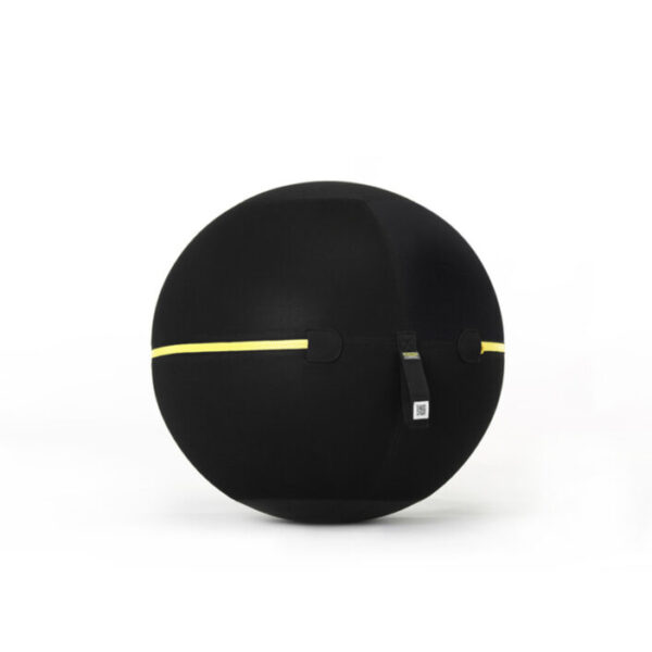 Active Sitting Wellness Ball