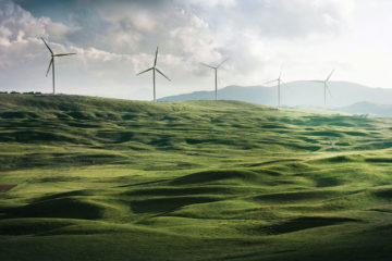 Going green with Saturday Indesign