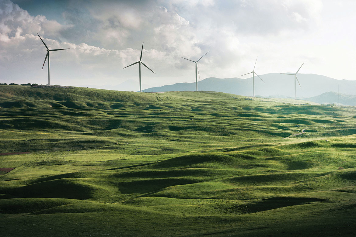 Going green with Saturday Indesign